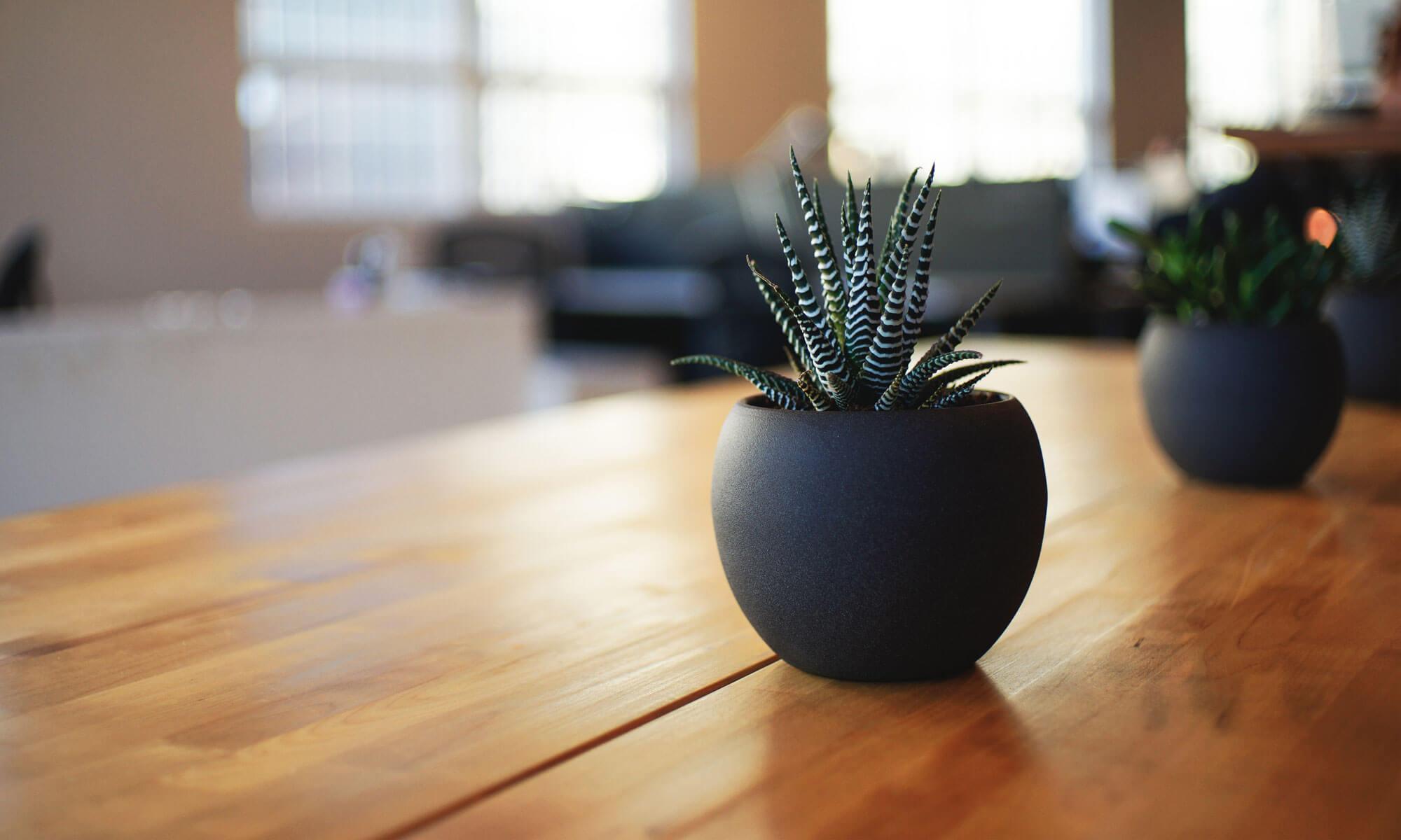 Home staging Interior Design